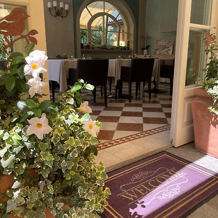 Villa Palmira Kinderfreies Hotel Cannobio Εξωτερικό φωτογραφία