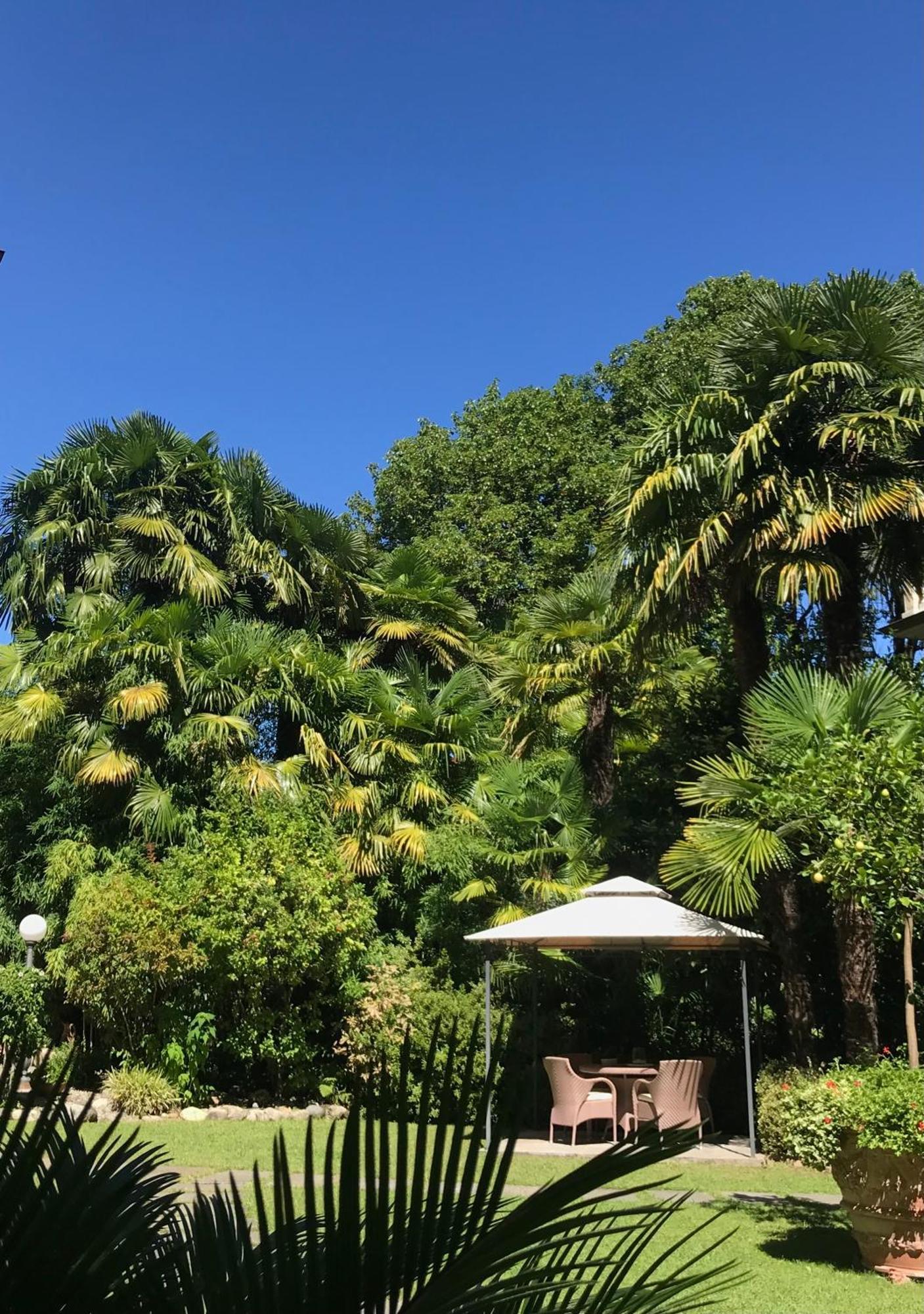 Villa Palmira Kinderfreies Hotel Cannobio Εξωτερικό φωτογραφία
