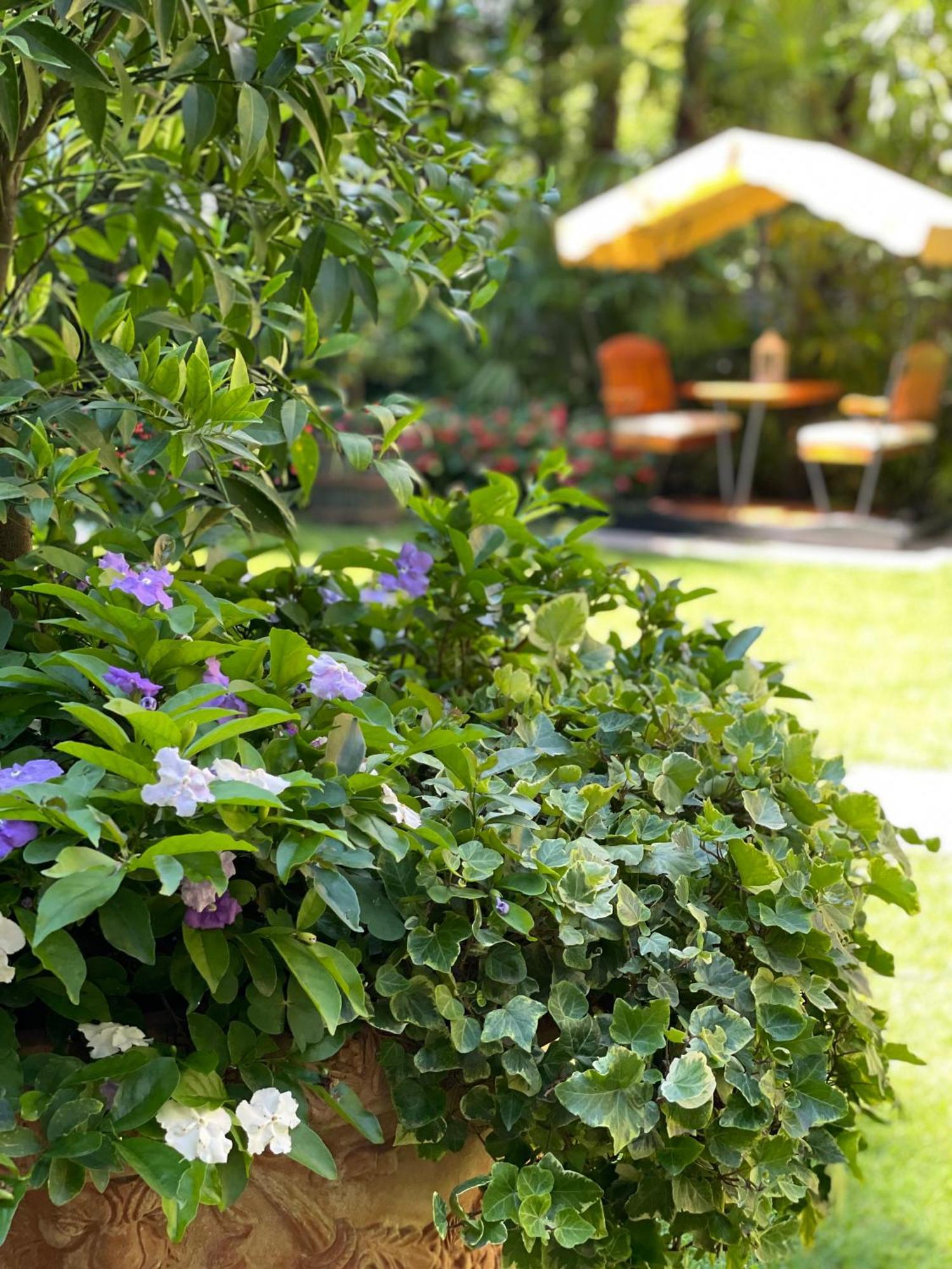 Villa Palmira Kinderfreies Hotel Cannobio Εξωτερικό φωτογραφία